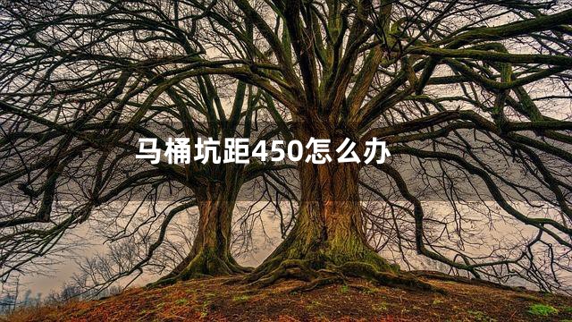 马桶坑距450怎么办