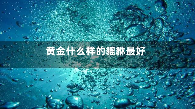 黄金什么样的貔貅最好