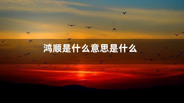 鸿顺是什么意思是什么