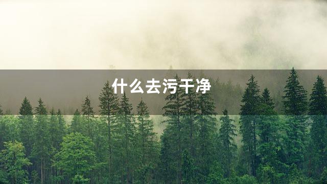 什么去污干净