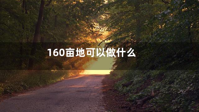 160亩地可以做什么