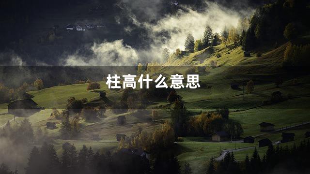 柱高什么意思