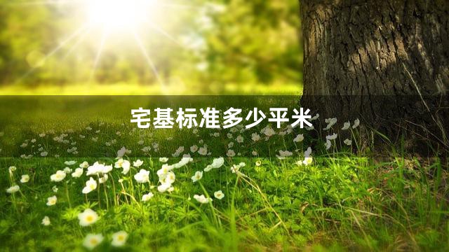 宅基标准多少平米