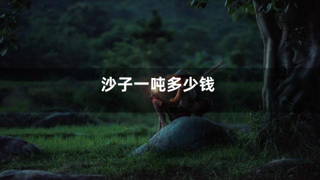 沙子一吨多少钱