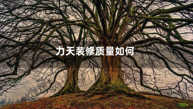 力天装修质量如何