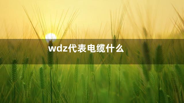 wdz代表电缆什么