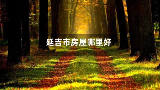 延吉市房屋哪里好