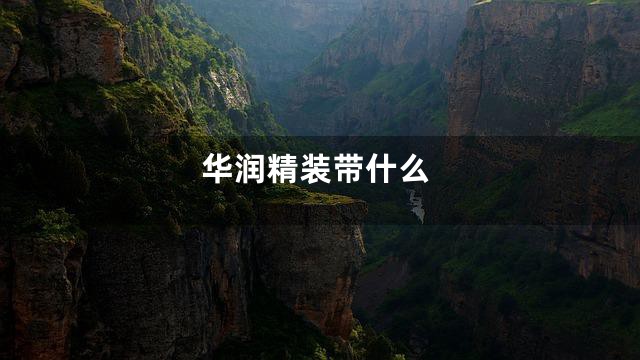 华润精装带什么