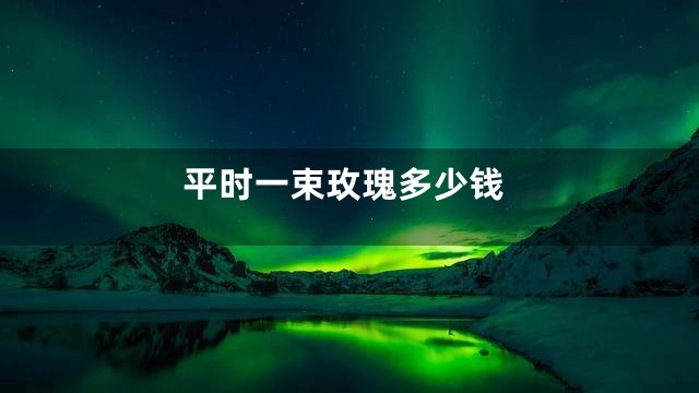 平时一束玫瑰多少钱