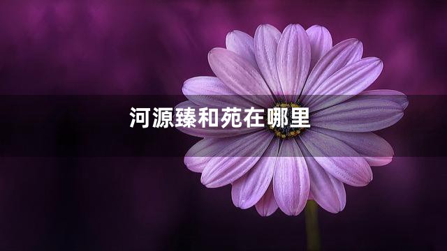 河源臻和苑在哪里