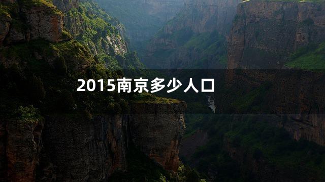 2015南京多少人口