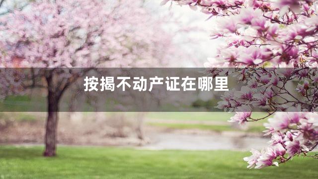 按揭不动产证在哪里