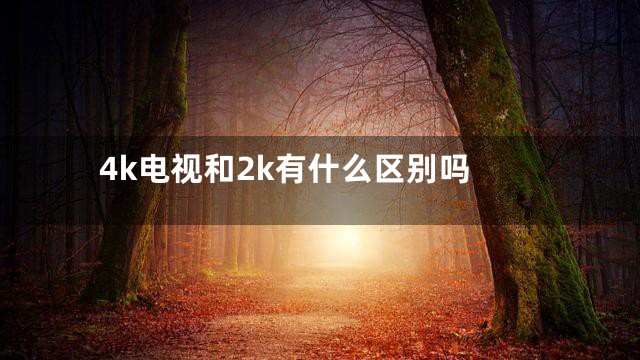 4k电视和2k有什么区别吗