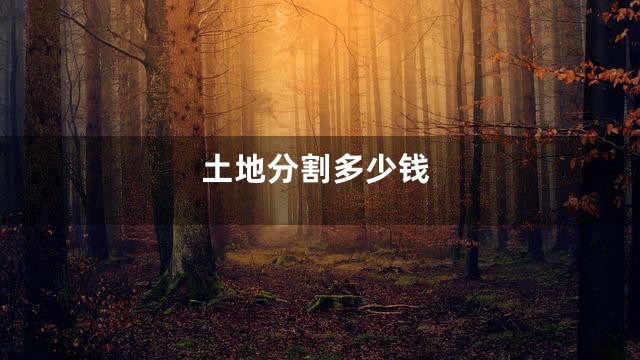 土地分割多少钱