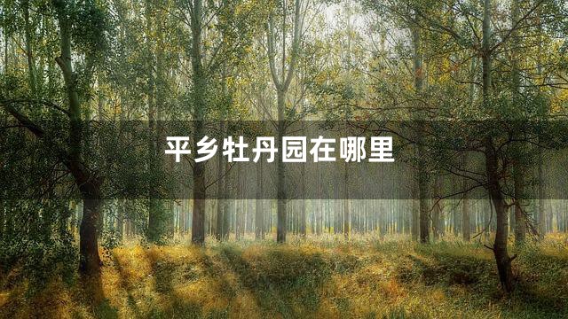 平乡牡丹园在哪里