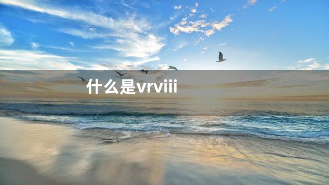 什么是vrviii