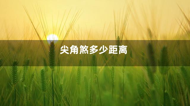 尖角煞多少距离