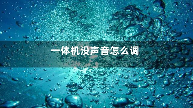 一体机没声音怎么调