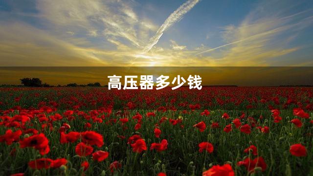高压器多少钱