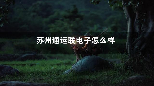 苏州通运联电子怎么样