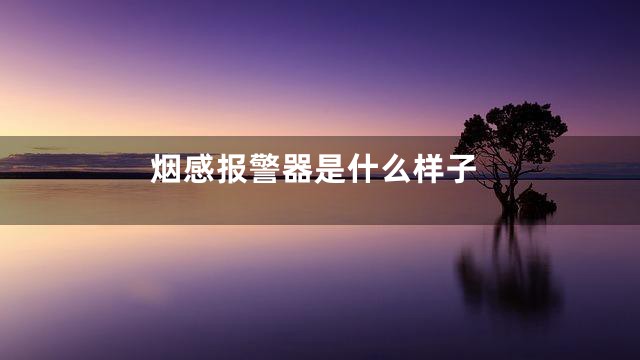 烟感报警器是什么样子