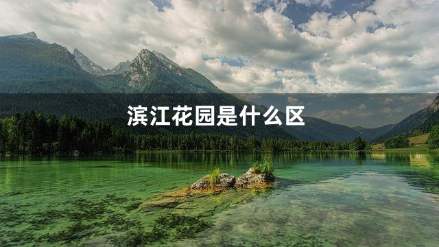 滨江花园是什么区