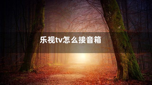 乐视tv怎么接音箱