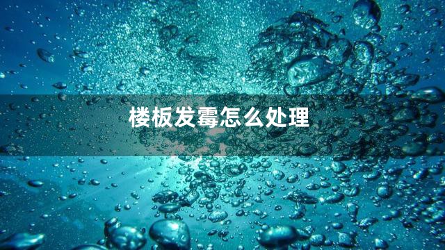 楼板发霉怎么处理
