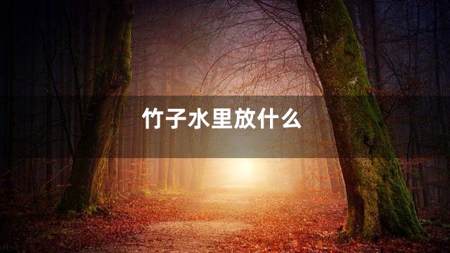 竹子水里放什么