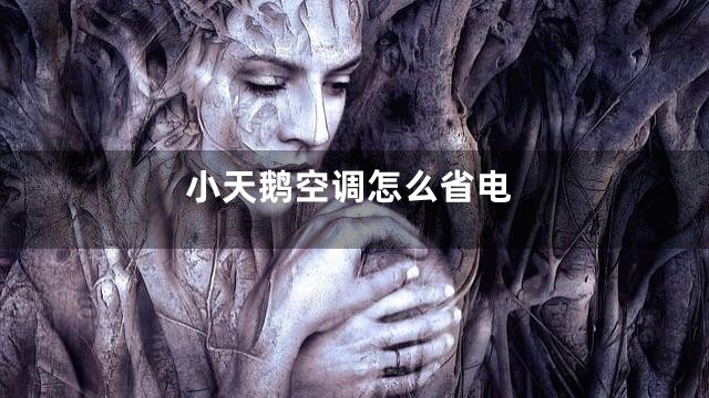 小天鹅空调怎么省电