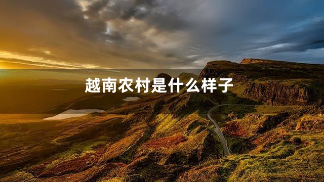 越南农村是什么样子