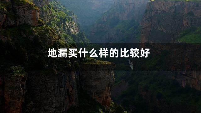 地漏买什么样的比较好