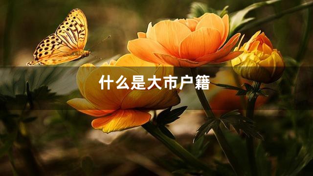 什么是大市户籍