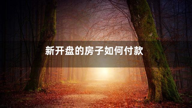 新开盘的房子如何付款