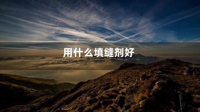 用什么填缝剂好