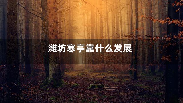 潍坊寒亭靠什么发展