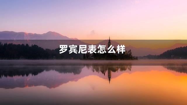 罗宾尼表怎么样