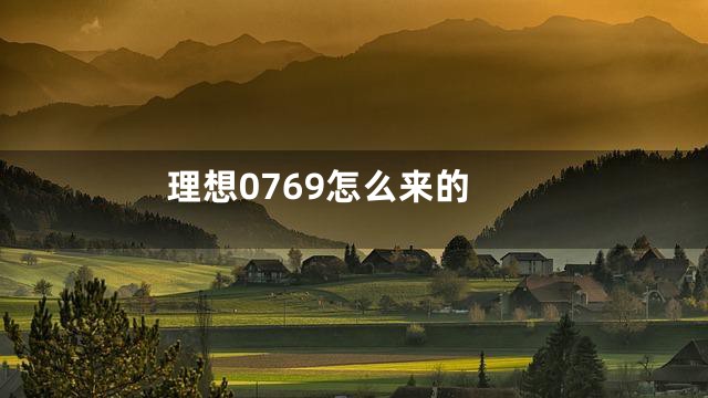 理想0769怎么来的