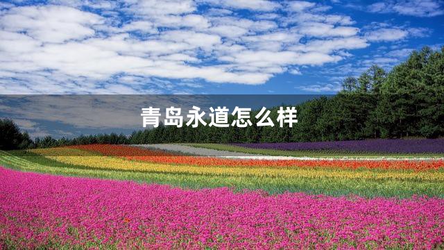 青岛永道怎么样