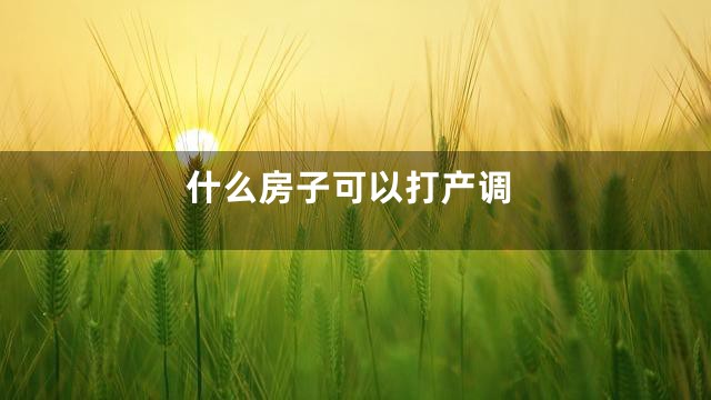 什么房子可以打产调