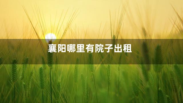 襄阳哪里有院子出租