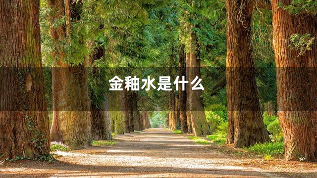 金釉水是什么