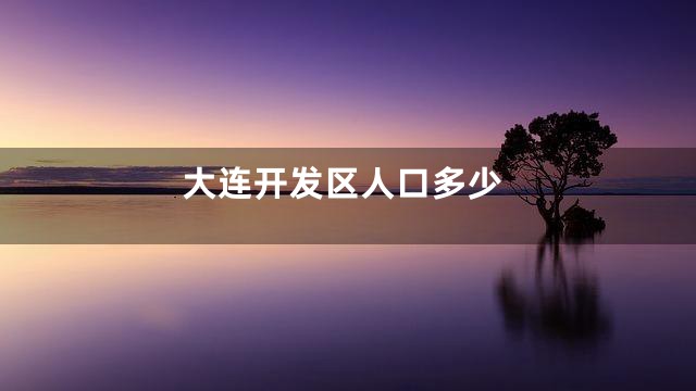 大连开发区人口多少