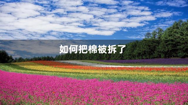 如何把棉被拆了