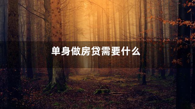 单身做房贷需要什么