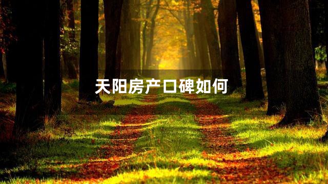 天阳房产口碑如何