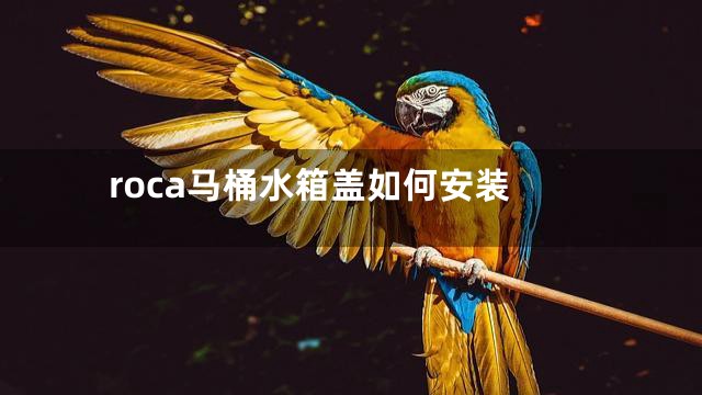 roca马桶水箱盖如何安装