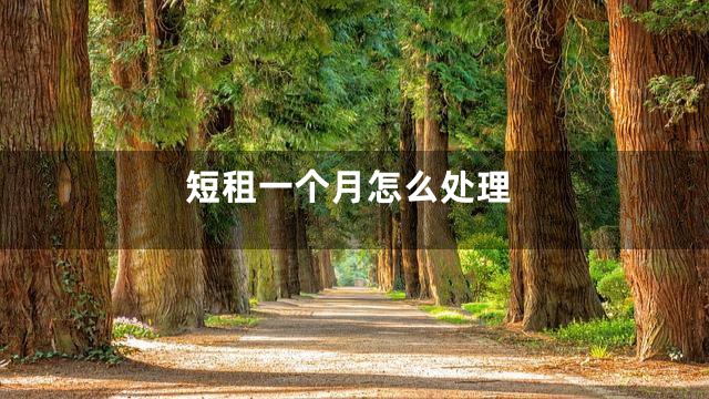 短租一个月怎么处理