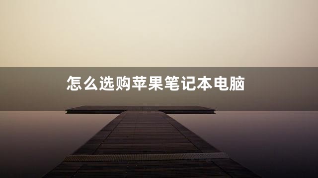 怎么选购苹果笔记本电脑