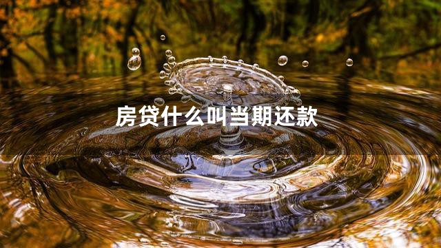 房贷什么叫当期还款